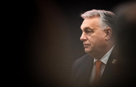 Thumbnail for 6829271