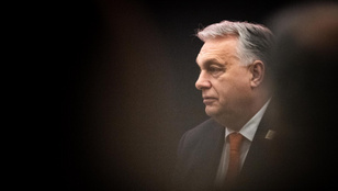 Thumbnail for 6829271