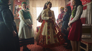 Thumbnail for 6829278