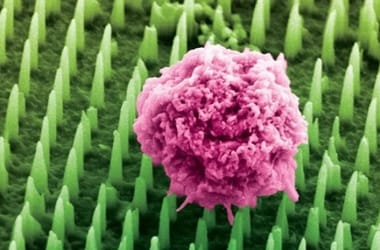 Thumbnail for 6829312