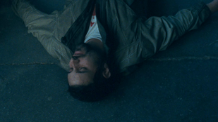 Thumbnail for 6829396