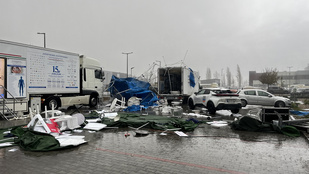 Thumbnail for 6829421