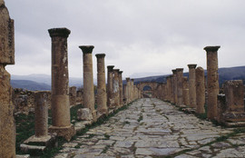 Thumbnail for 6829467