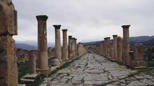 Thumbnail for 6829467