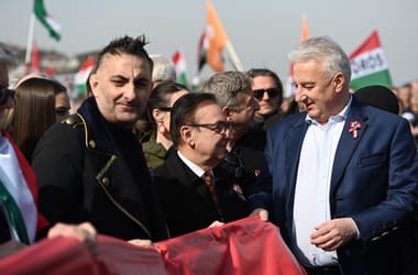 Thumbnail for 6829476