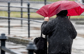 Thumbnail for 6829632