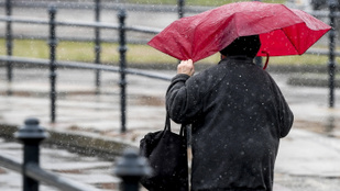 Thumbnail for 6829632