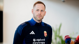 Thumbnail for 6829812