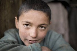 Thumbnail for 6829854