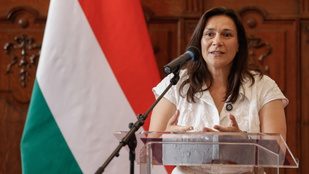 Thumbnail for 6829861