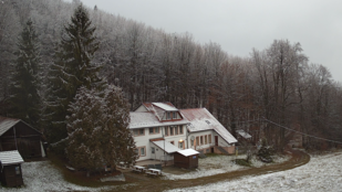 Thumbnail for 6829977