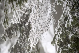 Thumbnail for 6829998