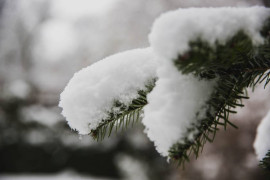 Thumbnail for 6830079