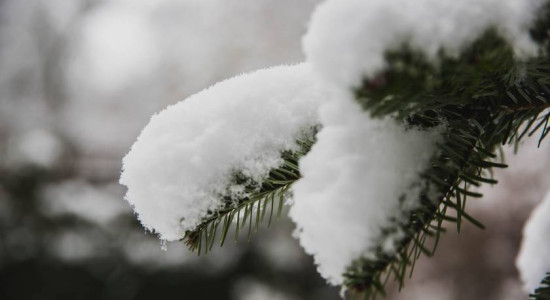 Thumbnail for 6830079