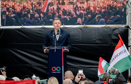 Thumbnail for 6830082