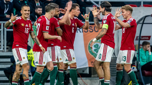 Thumbnail for 6830099