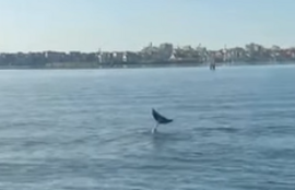 Thumbnail for 6830114