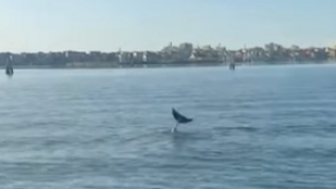 Thumbnail for 6830114