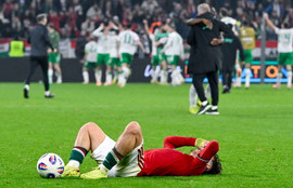 Thumbnail for 6830182