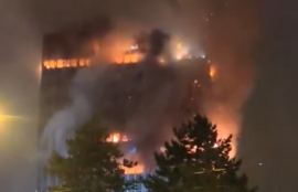 Thumbnail for 6830216