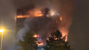 Thumbnail for 6830216