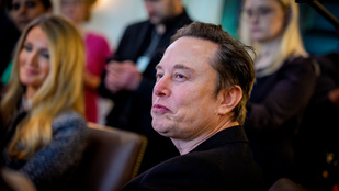 Thumbnail for 6830303