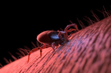 Thumbnail for 6830338