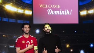 Thumbnail for 6830407