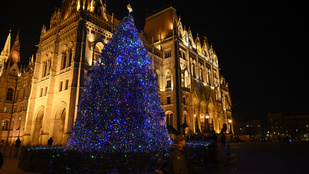 Thumbnail for 6830438