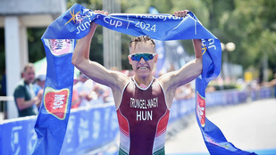 Thumbnail for 6830501