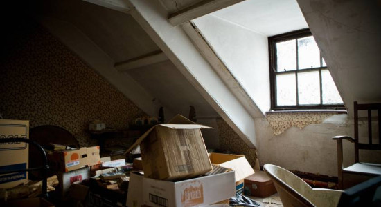 Thumbnail for 6830656