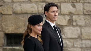 Thumbnail for 6830823