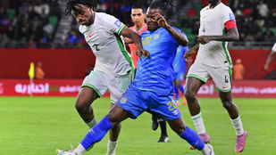 Thumbnail for 6830999