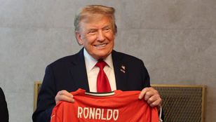 Thumbnail for 6831046