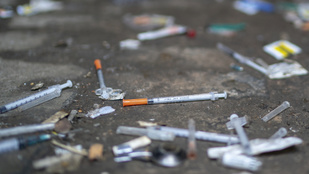 Thumbnail for 6831066