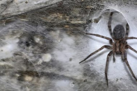 Thumbnail for 6831083