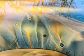 Thumbnail for 6831182