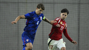 Thumbnail for 6831192