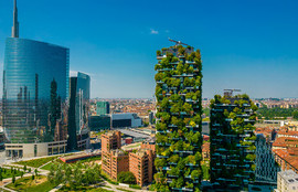 Thumbnail for 6831200