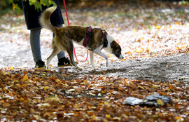 Thumbnail for 6831245