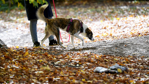 Thumbnail for 6831245