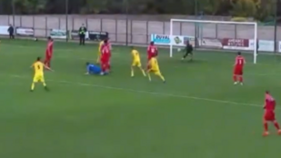 Thumbnail for 6831332