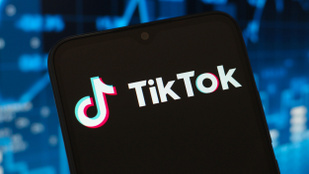 Thumbnail for 6831398