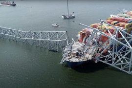 Thumbnail for 6831416