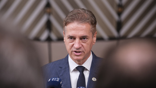 Thumbnail for 6831441