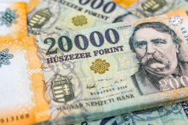 Thumbnail for 6831540