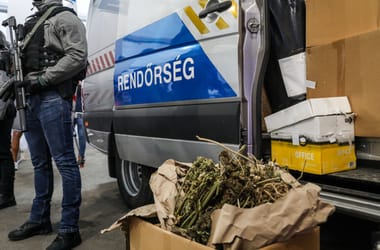 Thumbnail for 6831558