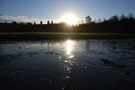 Thumbnail for 6831614