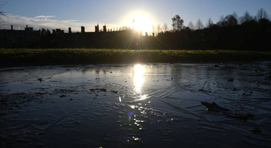 Thumbnail for 6831614