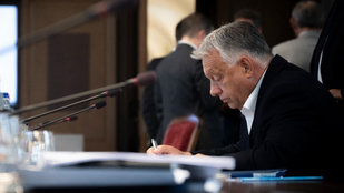 Thumbnail for 6831671